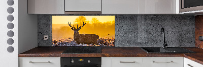 Kitchen splashback Deer sunrise