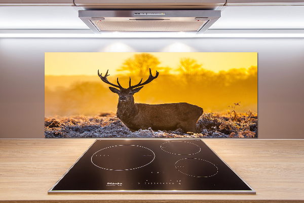 Kitchen splashback Deer sunrise