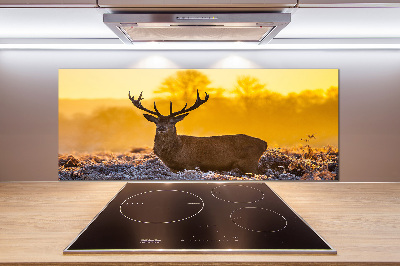 Kitchen splashback Deer sunrise