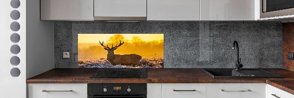 Kitchen splashback Deer sunrise