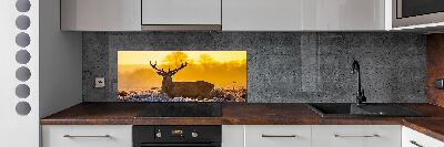 Kitchen splashback Deer sunrise