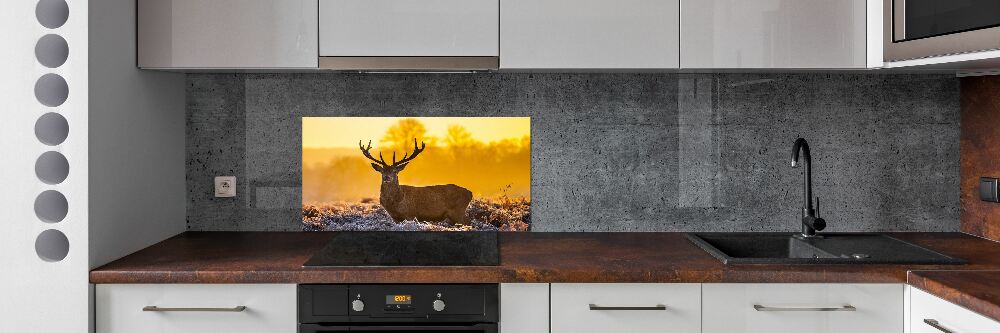 Kitchen splashback Deer sunrise