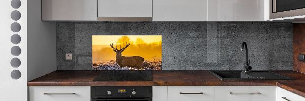 Kitchen splashback Deer sunrise