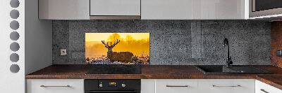 Kitchen splashback Deer sunrise