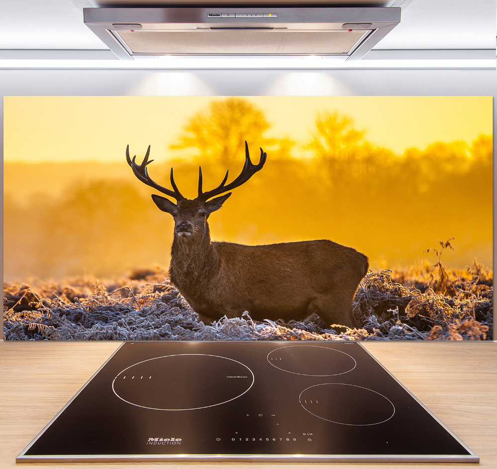 Kitchen splashback Deer sunrise