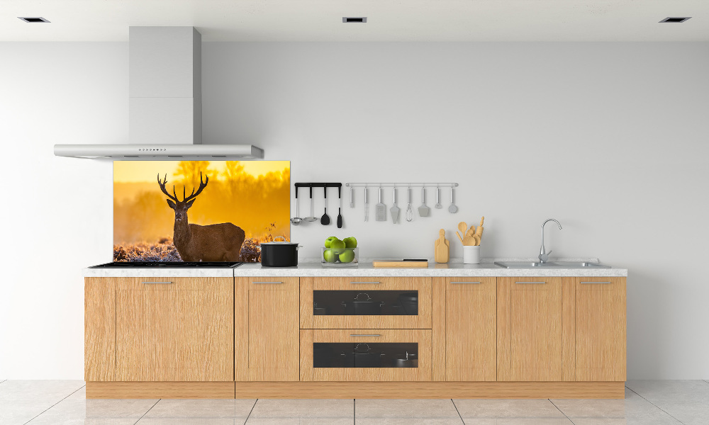 Kitchen splashback Deer sunrise