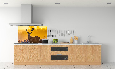 Kitchen splashback Deer sunrise