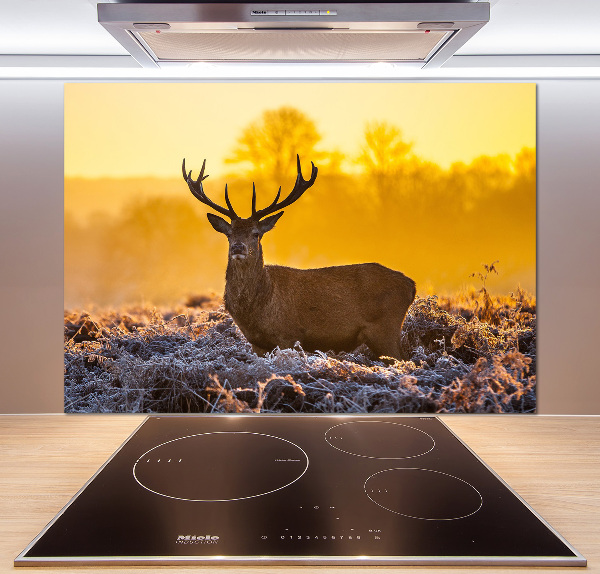 Kitchen splashback Deer sunrise