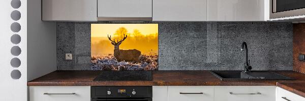 Kitchen splashback Deer sunrise