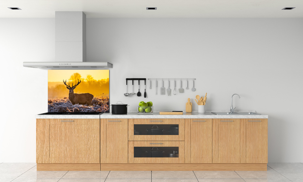 Kitchen splashback Deer sunrise