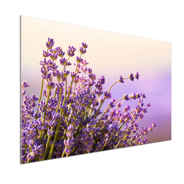 Kitchen splashback Lavender