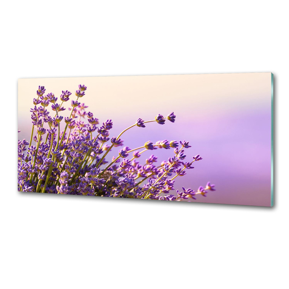 Kitchen splashback Lavender