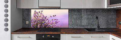 Kitchen splashback Lavender