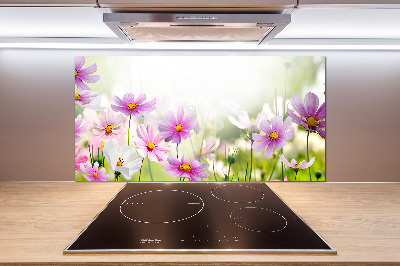 Kitchen splashback Flowers in the meadow