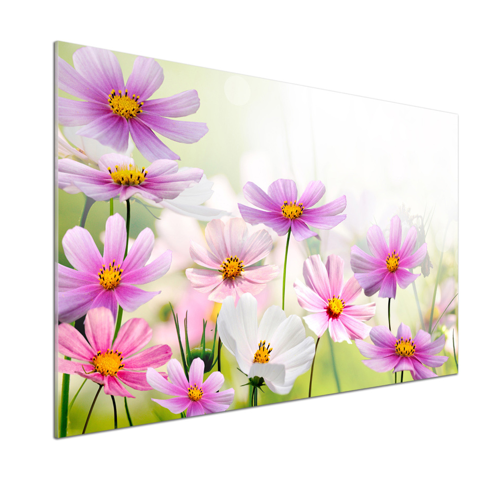 Kitchen splashback Flowers in the meadow