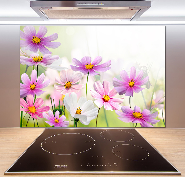 Kitchen splashback Flowers in the meadow