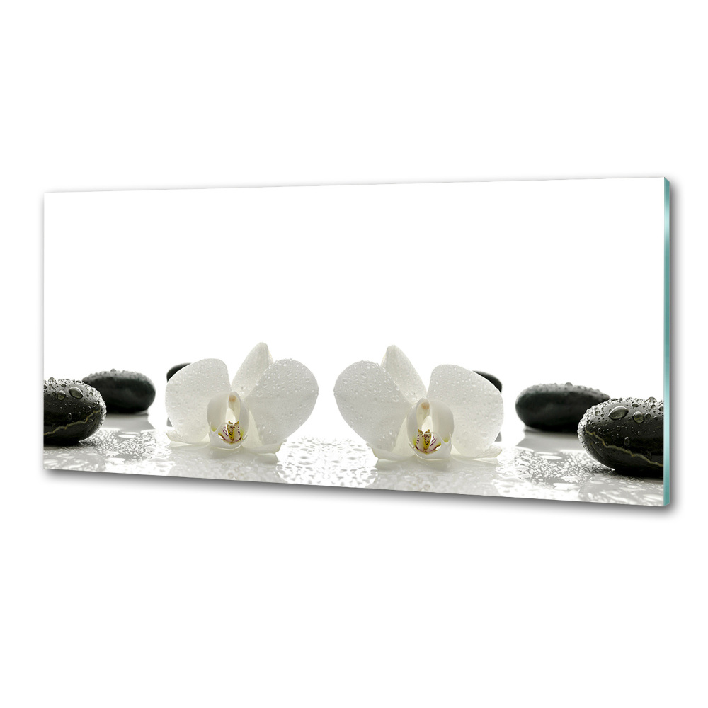 Kitchen splashback Orchid