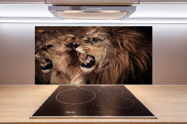 Kitchen splashback Roaring lions