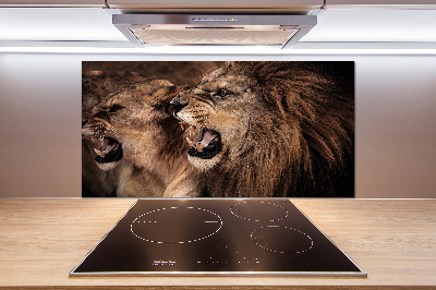 Kitchen splashback Roaring lions