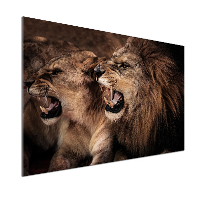 Kitchen splashback Roaring lions