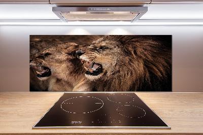 Kitchen splashback Roaring lions