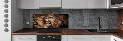 Kitchen splashback Roaring lions