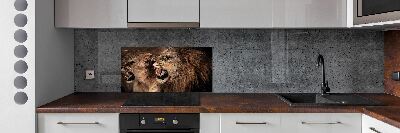 Kitchen splashback Roaring lions