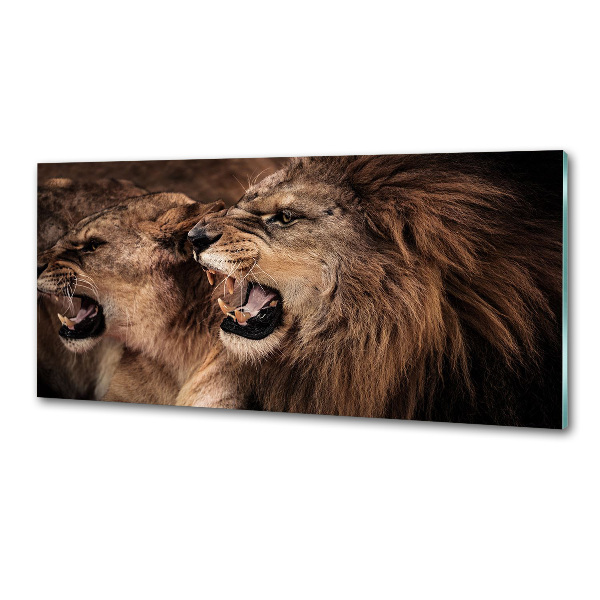 Kitchen splashback Roaring lions