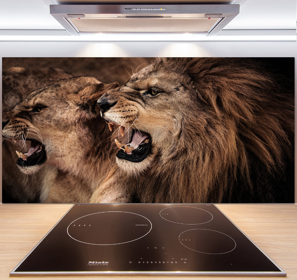 Kitchen splashback Roaring lions