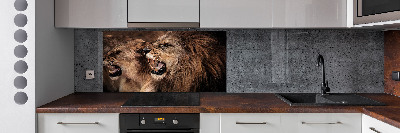 Kitchen splashback Roaring lions