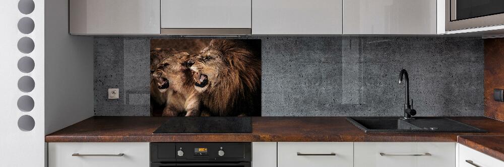 Kitchen splashback Roaring lions