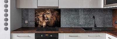 Kitchen splashback Roaring lions