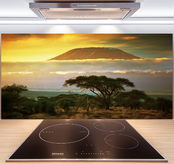 Cooker splashback Kilimanjaro Kenya