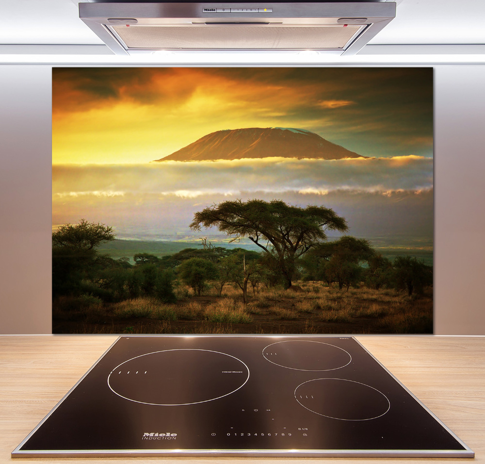 Cooker splashback Kilimanjaro Kenya