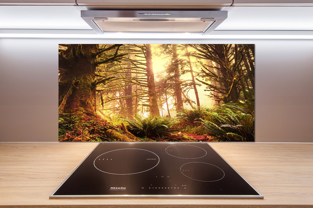 Cooker splashback the rainforest