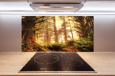 Cooker splashback the rainforest