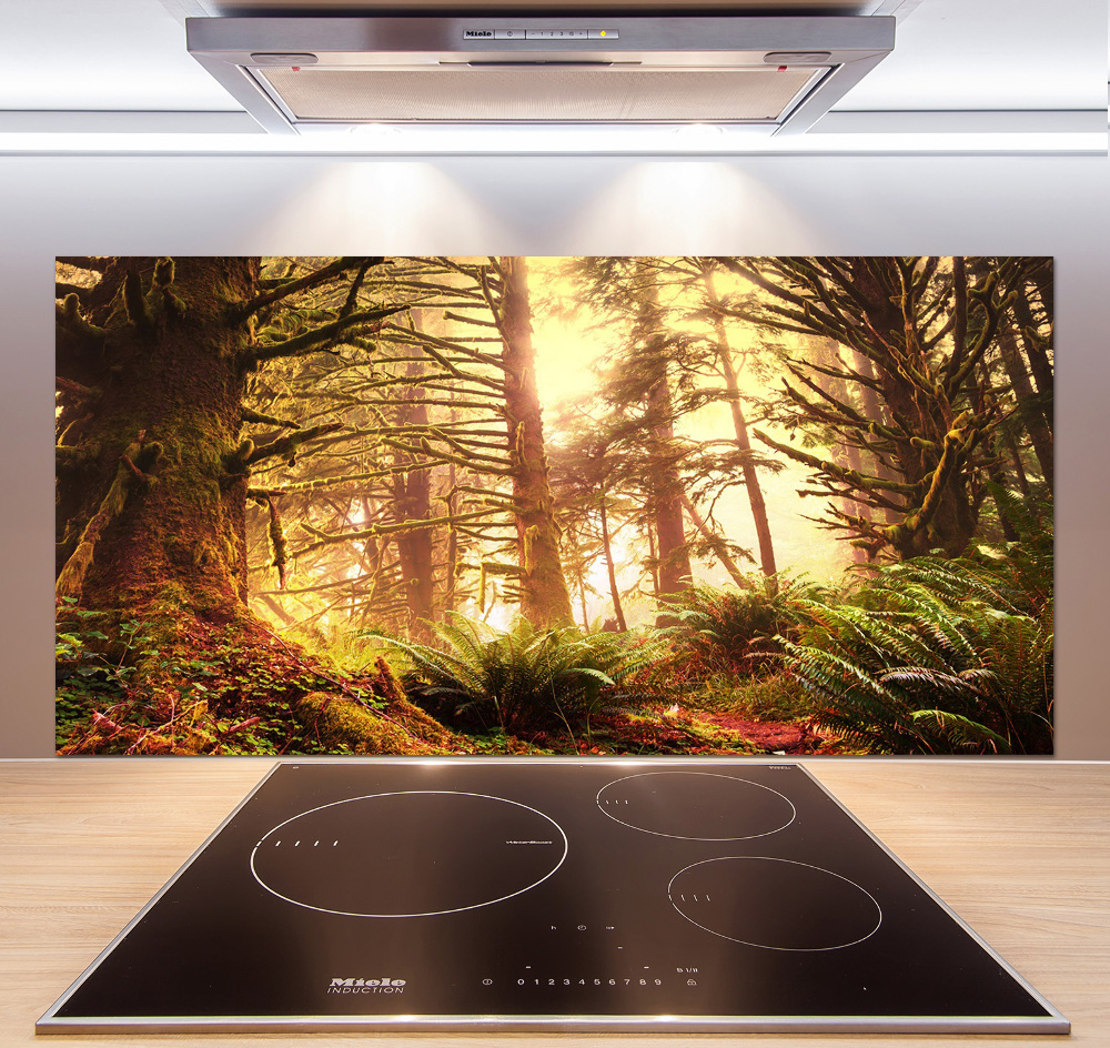 Cooker splashback the rainforest