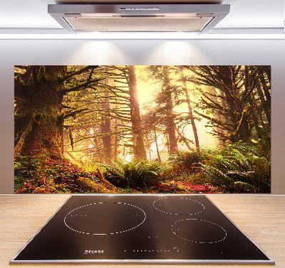 Cooker splashback the rainforest