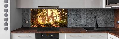 Cooker splashback the rainforest