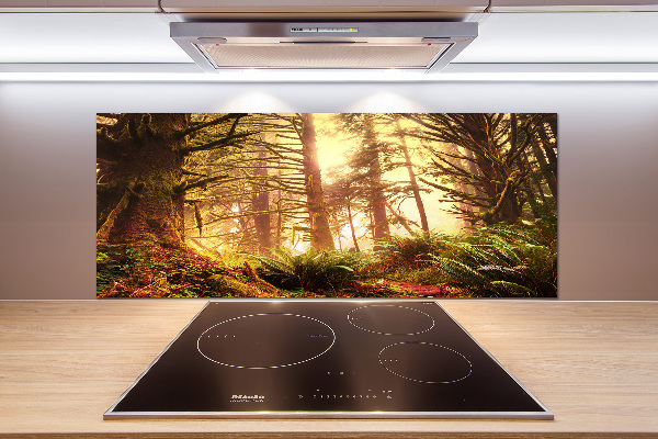 Cooker splashback the rainforest