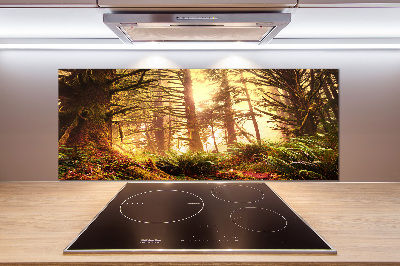 Cooker splashback the rainforest