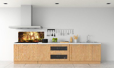 Cooker splashback the rainforest