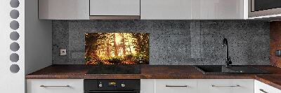 Cooker splashback the rainforest