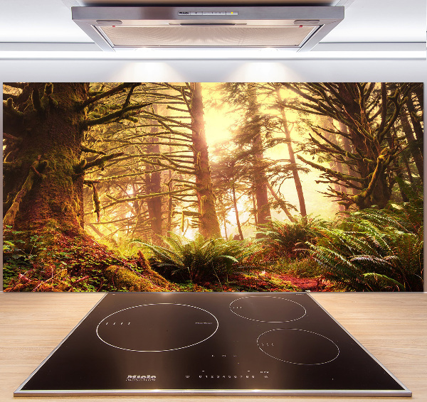 Cooker splashback the rainforest