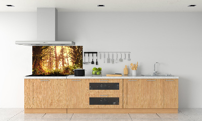 Cooker splashback the rainforest