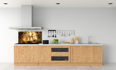 Cooker splashback the rainforest