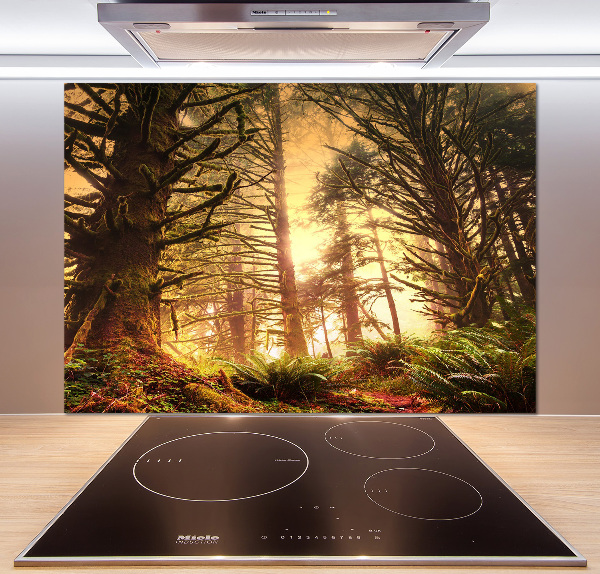 Cooker splashback the rainforest