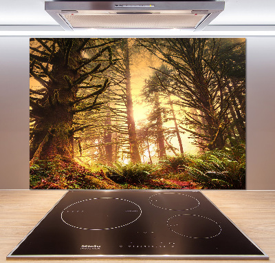 Cooker splashback the rainforest