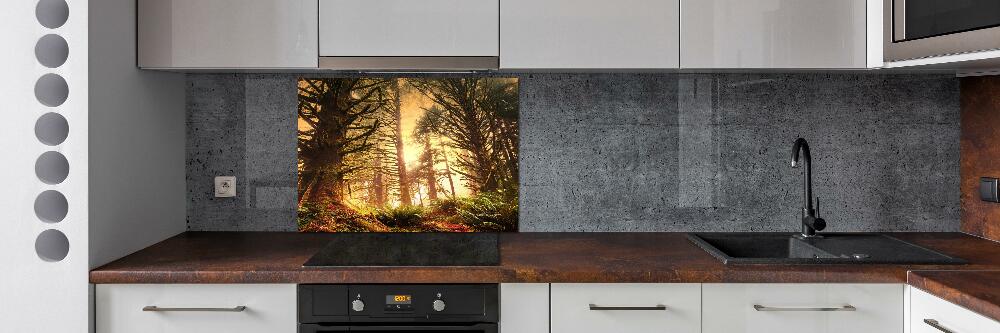 Cooker splashback the rainforest