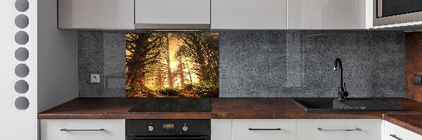 Cooker splashback the rainforest